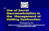 Use of Sacral Neuromodulation in the Management of Voiding Dysfunction Developed by the SUNA Sacral Nerve Stimulation Special Interest Group Revised Oct