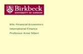 BSc Financial Economics International Finance Professor Anne Sibert