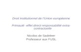 Droit institutionnel de lUnion europ©enne Primaut© -effet direct-responsabilit© extra- contractuelle Nicolas de Sadeleer Professeur aux FUSL