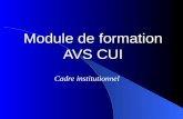 Module de formation AVS CUI Cadre institutionnel