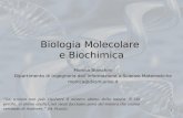 Biologia Molecolare e Biochimica Monica Bianchini Dipartimento di Ingegneria dellInformazione e Scienze Matematiche monica@diism.unisi.it 1 La scienza