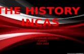 The amazing incas