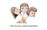 Structure and function (Transactional analysis / TA is an integrative approach to the theory of psychology and psychotherapy)