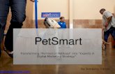 PetSmart: Transforming Into Experts in Digital Marketing Strategy