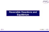 Reversible Reactions and Equilibrium. Mg + 2HCl ïƒ° MgCl 2 + H 2 Irreversible reactions Most Chemical reactions are considered irreversible in that products