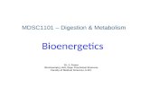 Bioenergetics MDSC1101 â€“ Digestion & Metabolism Dr. J. Foster Biochemistry Unit, Dept. Preclinical Sciences Faculty of Medical Sciences, U.W.I