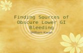 Finding Sources of Obscure Lower GI Bleeding William Kwan