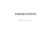 CHOLECYSTITIS SODIENYE HALLIDAY M.D.. OUTLINE WHAT IS CHOLECYSTITIS. BRIEF DESCRIPTION OF THE GALLBLADDER, ITS FUNCTION AND ANATOMY. CAUSES OF CHOLECYSTITIS