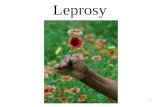 1 Leprosy. 2 A chronic infectious disease caused by the bacterium Mycobacterium leprae It is mainly a Granulomatous disease affecting: peripheral nerves
