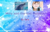 Milly and the lost Dolphin By Tyra. Hero Once upon a time, there was a hero named Milly. She lived in a castle and loved winter vacations