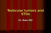 Testicular tumors and STDs
