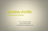 Amino Acids (Foundation Block) Dr. Sumbul Fatma Dr. Sumbul Fatma Tel # 014671344 sumbulfatma@gmail.com