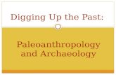 Digging Up the Past:  Paleoanthropology and Archaeology