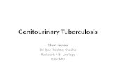 Short review of genitourinary tuberculosis