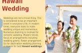 Professional Hawaii wedding planners