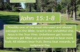 John 15:1-8, Difficult passage, Israel vine, Jesus True Vine; Unbelievers get burned, lifted up airo, washed kathairo; Abiders bear fruit, Bema