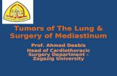 Tumors of the Lung and Surgery of Mediastinum