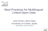 Best Practices for Multilingual Linked Open Data ... Linked data book [Heath, Bizer, 2011] Linked data patterns [Dodds, Davis, 2012] Best Practices for Publishing Linked Data [Hyland