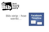 Bibstrip Hoe werkt Facebook? (versie 2012)