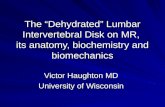 The Dehydrated Lumbar Intervertebral Disk on MR, its anatomy, biochemistry and biomechanics Victor Haughton MD University of Wisconsin