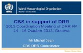 WMO CBS in support of DRR 2013 Coordination Meeting of DRR FP 14 - 16 October 2013, Geneva Mr Michel Jean CBS DRR Coordinator