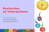 Particules et Interactions Nikola Makovec LAL/IN2P3/CNRS Universit© Paris XI