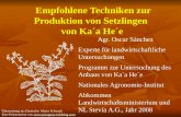 Empfohlene Techniken zur Produktion von Setzlingen von Ka´a He´e Empfohlene Techniken zur Produktion von Setzlingen von Ka´a He´e Agr. Oscar Snchez Experte