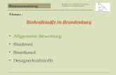Biomassenutzung Ministerium f¼r L¤ndliche Entwicklung, Umwelt und Verbraucherschutz Thema : Biokraftstoffe in Brandenburg Allgemeine Bewertung Biodiesel