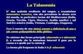 La Talassemia E una malattia ereditaria del sangue, a trasmissione autosomica recessiva, con alta prevalenza in alcune aree del mondo, in particolare bacino