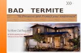 Bad Termite "To Preserve and Protect your Investment"