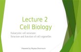 Lecture 2 Cell Biology Eukaryotic cell structure: Structure and function of cell organelles Prepared by Mayssa Ghannoum