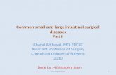 Common small and large intestinal surgical diseases Part II Khayal AlKhayal, MD, FRCSC Assistant Professor of Surgery Consultant Colorectal Surgeon 2010
