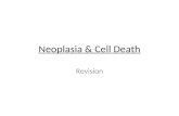Neoplasia & Cell Death Revision. Objectives Terminology of Cell change Apoptosis vs Necrosis Neoplasia â€“ Benign â€“ Malignant Tumour classification Intraepithelial