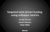 Targeted taint driven fuzzing  using software metrics