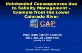 Unintended Consequences due to Salinity Management â€“ Example from the Lower Colorado River