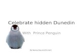 Celebrate Hidden Dunedin