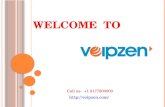 Business voip provider