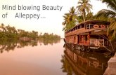 Places to visit in Alleppey | Kerala Tour Packages