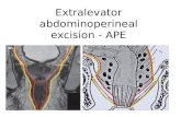 Extralevator abdominoperineal excision
