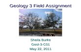 Geology3 field assignment
