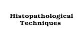 Histopathological technique