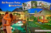 4D 3N Bali Honeymoon Package At Villa Dellmango Villa Estate