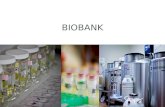 Sondre & Stian-Biobank