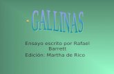 Gallinas ensayo