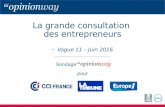 Grande Consultation des entrepreneurs - juin 2016 - vague 11