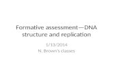 Formative assessmentâ€”DNA structure and replication