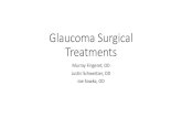 Glaucoma Surgical Treatments outline .Glaucoma Surgical Treatments â€¢ What are the indications for