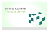 The Best Option - Blended Learning The Best Option Different learning problems require different solutions Different learning problems require different solutions Each learner has