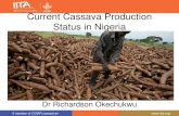 Current Cassava Production Status in Cassava Production... In processing down-market cassava-based goods like HQCF and sweeteners, a large amount of cassava is needed in Nigeria. To