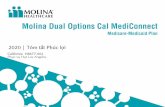 Molina Dual Options Cal MediConnect ... Molina Dual Options Cal MediConnect Chương Trình Medicare-Medicaid: Tóm Tắt Phúc Lợi H8677_20_15101_002_CAMMPSB vi Accepted 8/31/2019